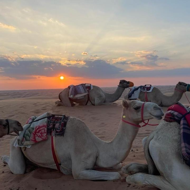 Oman Desert Private Camp Shāhiq Eksteriør bilde
